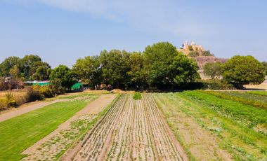 Terreno en venta San Pedro Cholula, Puebla.