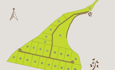 Parcela en Venta en Camino Padre Hurtado y acceso sur