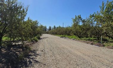 Parcela en Venta en Camino Padre Hurtado y acceso sur
