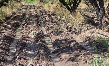Parcela en Venta en Camino Padre Hurtado y acceso sur