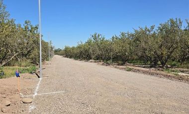 Parcela en Venta en Camino Padre Hurtado y acceso sur