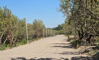 Parcela en Venta en Camino Padre Hurtado y acceso sur