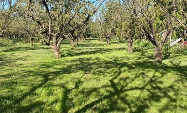 Parcela en Venta en Camino Padre Hurtado y acceso sur