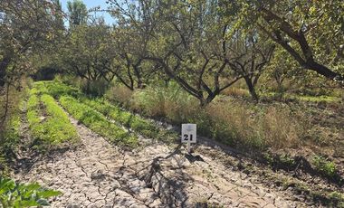 Parcela en Venta en Camino Padre Hurtado y acceso sur