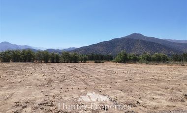 Parcela en Venta en Camino La Leonaera, despues de empresa Agrosuper verada Sur.