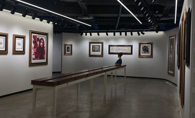 Galería de arte en renta o espacio comercial