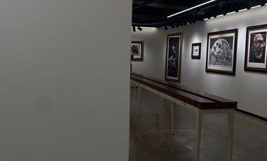 Galería de arte en renta o espacio comercial