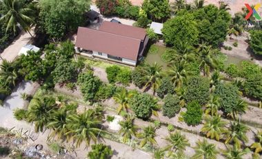 For Sale House with Coconut Garden, Ratchaburi , Khu Bua , Mueang Ratchaburi , Ratchaburi , CX-117133