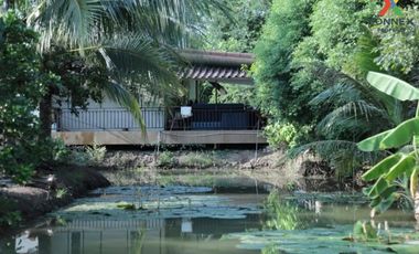 For Sale House with Coconut Garden, Ratchaburi , Khu Bua , Mueang Ratchaburi , Ratchaburi , CX-117133