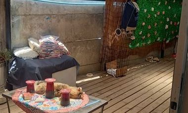 Casa en Venta en Salvador gallegos con Toribio González