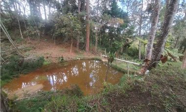 Casa en Arriendo en Rionegro cerca al aeropuerto JMC
