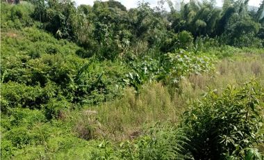 Vendo lotes urbanizados en la cumbre, Valle del Cauca