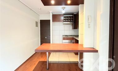 Departamento en Arriendo en Calle Lira 399, Santiago