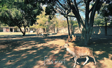 Venta de espectacular residencia en Atlixco