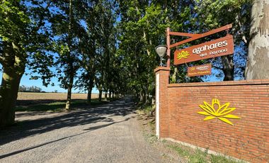 Venta - Terreno de 933 m2 en Azhares del Paraná, Fighiera