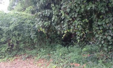 Terreno. Venta. Chapadmalal