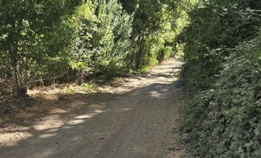 SE VENDE TERRENO AGRÍCOLA EN YERBAS BUENAS.
