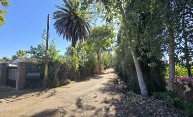 SE VENDE TERRENO AGRÍCOLA EN YERBAS BUENAS.