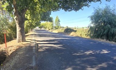 SE VENDE TERRENO AGRÍCOLA EN YERBAS BUENAS.