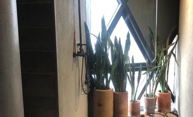 RENTA DEPARTAMENTO EN CHOLULA PUEBLA