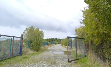 Arriendo: Gran galpón industrial ubicado en Ruta 5 entre P. Montt y P. Varas