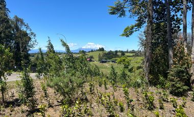 Gran parcela en condominio consolidado a minutos de Puerto varas