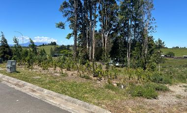 Gran parcela en condominio consolidado a minutos de Puerto varas