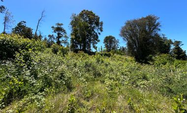 Gran parcela en condominio consolidado a minutos de Puerto varas