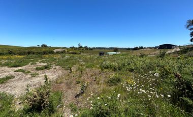 Gran parcela en condominio consolidado a minutos de Puerto varas
