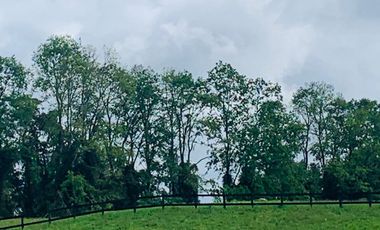 Parcela con linda vista a lago y volcanes, Frutillar