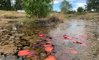 Se vende casa en hermosa parcela , Puerto Montt