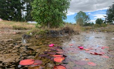 Se vende casa en hermosa parcela , Puerto Montt