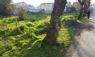 Terreno en pleno centro de Dalcahue