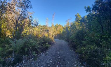 Preciosa casa rodeada de bosque nativo a 15 minutos del centro de Puerto Varas