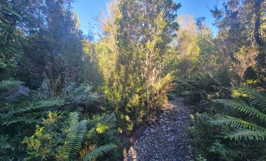 Preciosa casa rodeada de bosque nativo a 15 minutos del centro de Puerto Varas