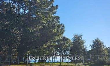 Preciosa parcela plana con vista y acceso al lago en el sector de Puerto Rosales