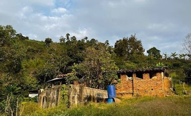VENTA de FINCAS en RISARALDA