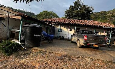 VENTA de FINCAS en RISARALDA