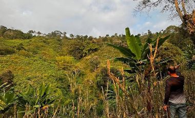 VENTA de FINCAS en RISARALDA