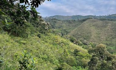 VENTA de FINCAS en RISARALDA