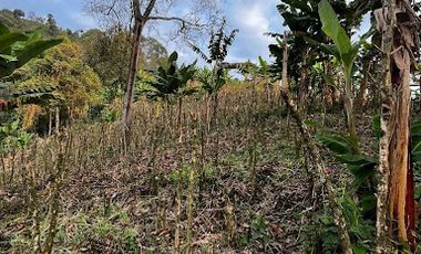 VENTA de FINCAS en RISARALDA