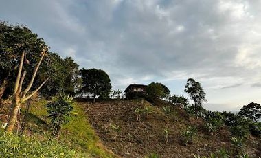 VENTA de FINCAS en RISARALDA