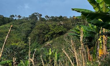 VENTA de FINCAS en RISARALDA