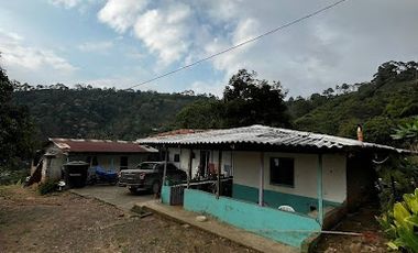 VENTA de FINCAS en RISARALDA