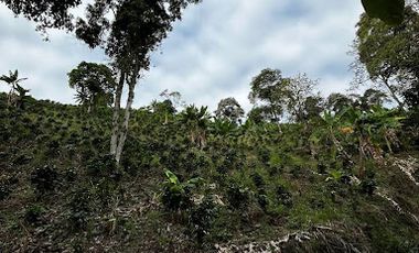 VENTA de FINCAS en RISARALDA