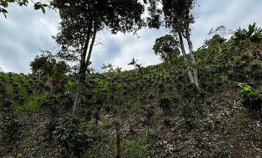 VENTA de FINCAS en RISARALDA