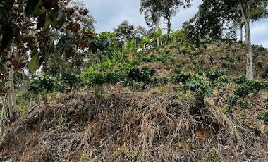 VENTA de FINCAS en RISARALDA