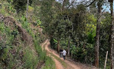 VENTA de FINCAS en RISARALDA