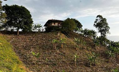 VENTA de FINCAS en RISARALDA
