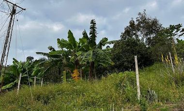 VENTA de FINCAS en RISARALDA